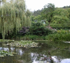 Jard�n de Agua, Monet - Giverny