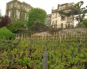 Le Clos du Montmartre - Par�s