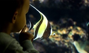Aquarium de Par�s
