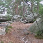 Bosque de Fontainebleau Bosque de Fontainebleau