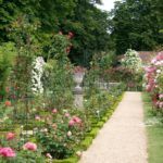 Clica aquí para saber más sobre el Jardin Des Plantes Jardin Des Plantes