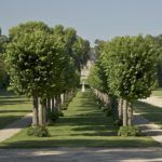 Jardines del Palacio de Chantilly Jardines del Palacio de Chantilly