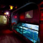 Clica aquí para saber más sobre Cinéaqua Cinéaqua