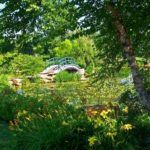 El Jardín de Agua, Giverny El Jardín de Agua, Giverny