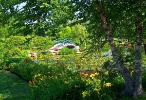 El Jardín de Agua, Giverny