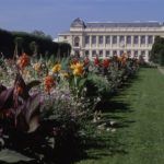 Jardin Des Plantes © MNHN Olivier Borderie Jardin Des Plantes © MNHN Olivier Borderie