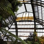 Jardin Des Plantes © MNHN Manuel Cohen Jardin Des Plantes © MNHN Manuel Cohen