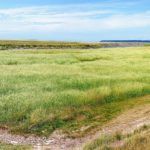 Mont Saint Michel Mont Saint Michel