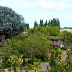 La Cabaña de los Robinson  © Disney La Cabaña de los Robinson  © Disney